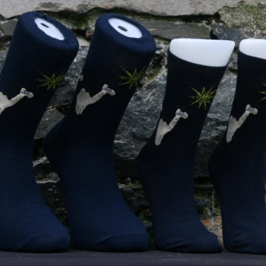 Journeying socks sizes 6-11 and 4-7