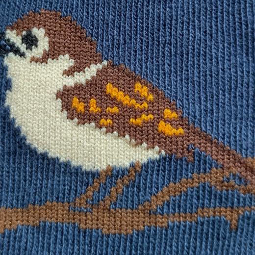 Nomad blue single sparrow