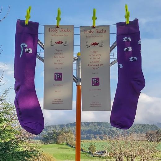 Christmas Crook in purple with leaflets