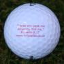 Glory Golf Balls Single Proverbs